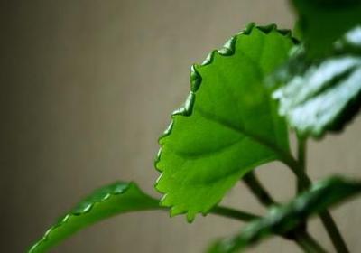 人生困惑的句子(优选40句)