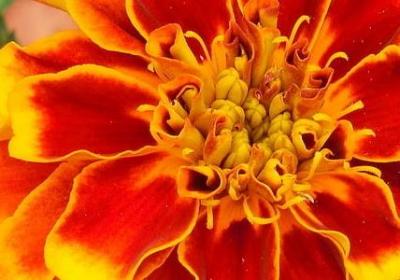 人生做主的感言句子(推荐50句)