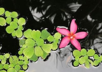 人生历程的感悟句子(实用50句)