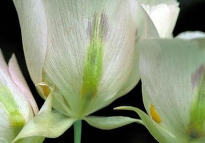 人生的第一次唯美句子(优选35句)