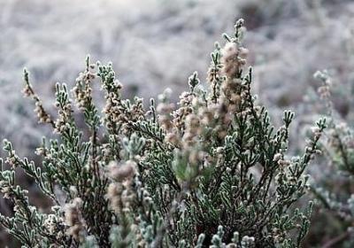 人生有哲理的句子(实用70句)