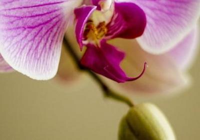 人生最困难的时候句子(推荐10句)