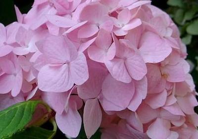 人生爱情感悟的句子(推荐40句)