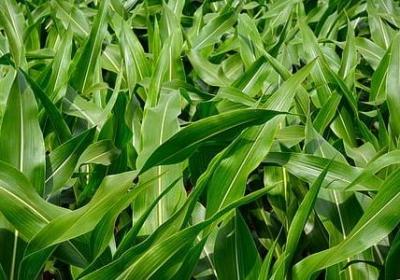 人生最大的感悟句子(热门10句)