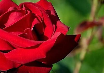 人生过客的句子(合集70句)