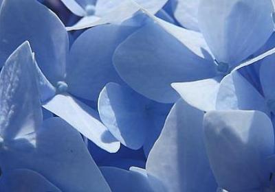 人的开头句子大全(通用40句)