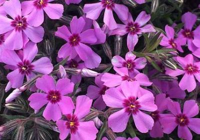 人的底线的句子(汇总30句)