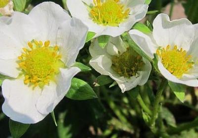 什么什么在什么造句子(共40句)