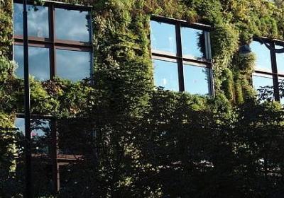 什么句子叫平什么句子叫仄(精选5句)