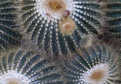 什么句子形容网卡问题(必备40句)