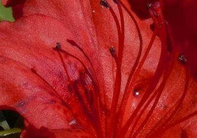 什么列句子(实用18句)