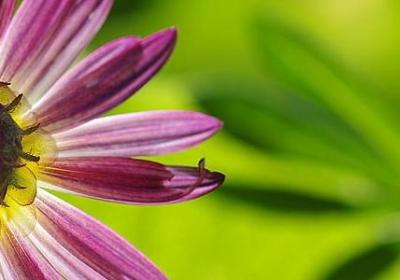 人和的句子(实用20句)