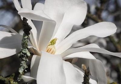 人在落难没人帮的句子(合集40句)