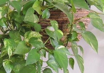 人在失去时感悟句子(40句)