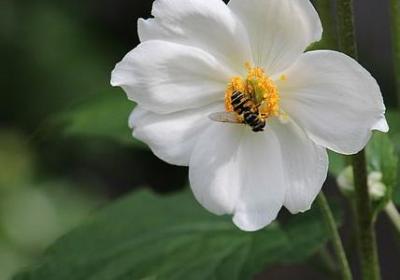 人和人的句子(共15句)