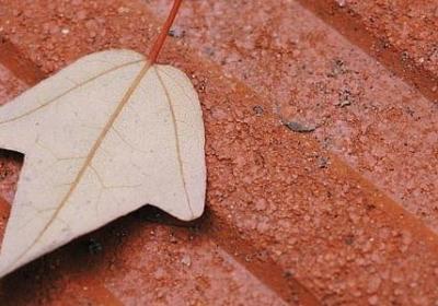 人有钱的道理句子(通用40句)