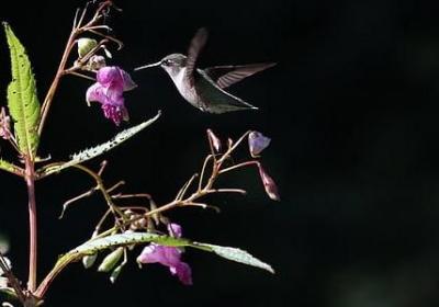 人心变了的经典句子(实用60句)