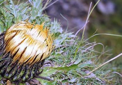 人死了一路走好的句子(热门10句)