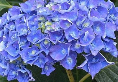 人性丑陋的句子(必备50句)