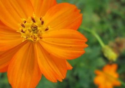 人民的名义中的句子(实用40句)