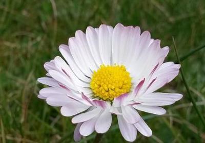 人物神态描写句子摘抄(实用81句)