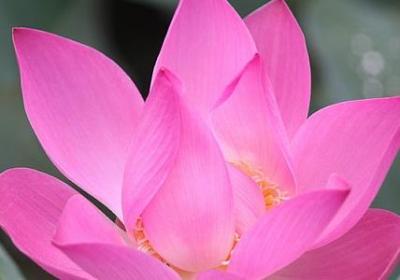 人物的神态动作的句子(合集50句)