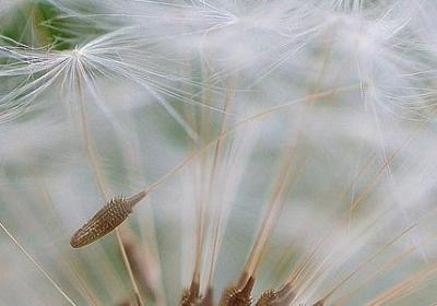 人物坚强句子(50句)