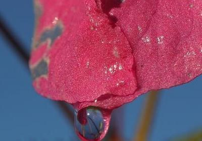 人物的心理描写句子(精选50句)