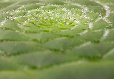 人生三段句子(共3句)