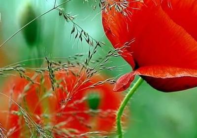 人生丰富过程的句子(15句)