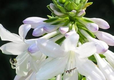 人生励志经典句子快手(通用60句)