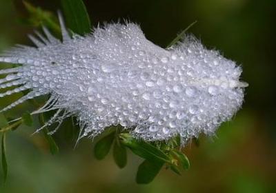 人生只能靠自己的句子(热门50句)