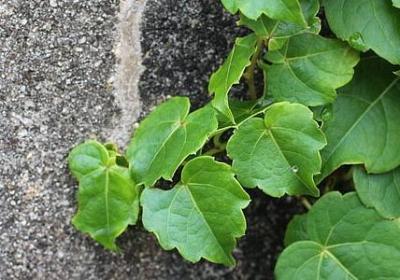 人生总在等待的句子(汇总50句)