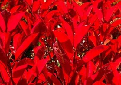 人生感悟的长句子伤感(热门10句)