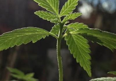 人生现实句子(必备60句)