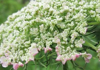 人生路感悟的句子(实用80句) 人生路感悟的句子(实用80句)