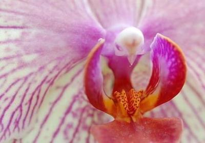 人生苦短成熟的句子(推荐20句)