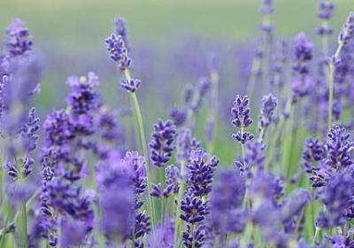 人生舞台的句子(必备69句)