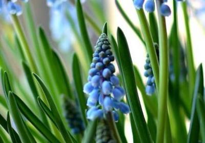 人走散句子(通用80句)