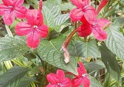 人走茶凉句子(推荐40句)