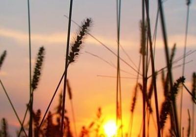 人鱼出水句子图片(实用50句) 人鱼出水句子图片(实用50句)