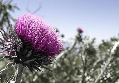 什么句子是什么结构(优选6句)