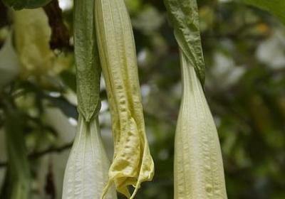 人心难测的图片和句子(共60句)