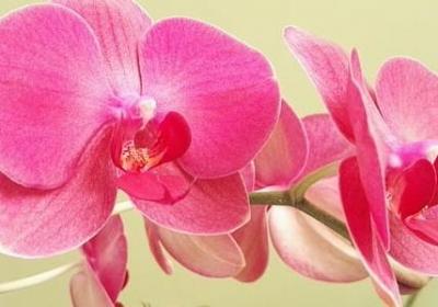 人生匆忙的句子(必备60句)