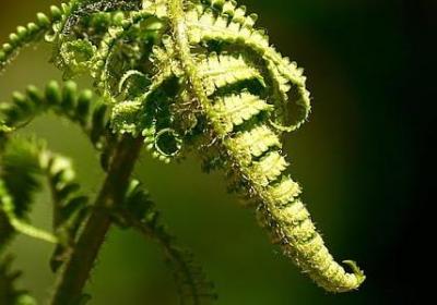 人生之苦经典句子(精选70句)