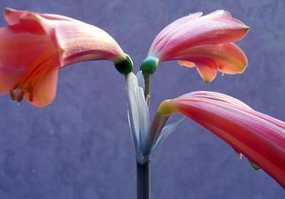 人生的感叹的句子(60句)