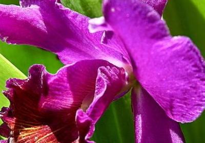 人生温馨句子(精选20句)