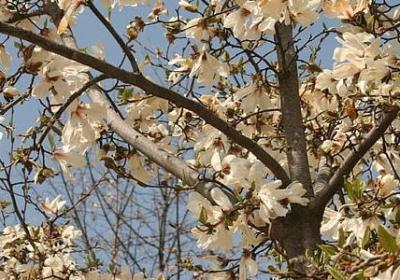 人生观的句子(优选80句)