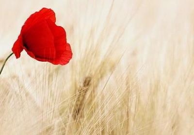 什么一定补充句子(必备60句)