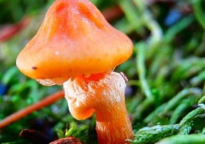 什么句子造(精选40句)